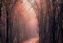 华体会APP下载-东方之珠不敌大苹果城，恩比德关键节点统治力助尼克斯压制上海队