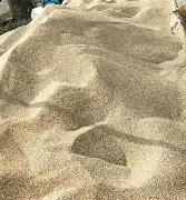 沙尔克04遭遇六连败,主场不敌多特蒙德痛失胜机 沙尔克04遭遇六连败,主场不敌多特蒙德痛失胜机